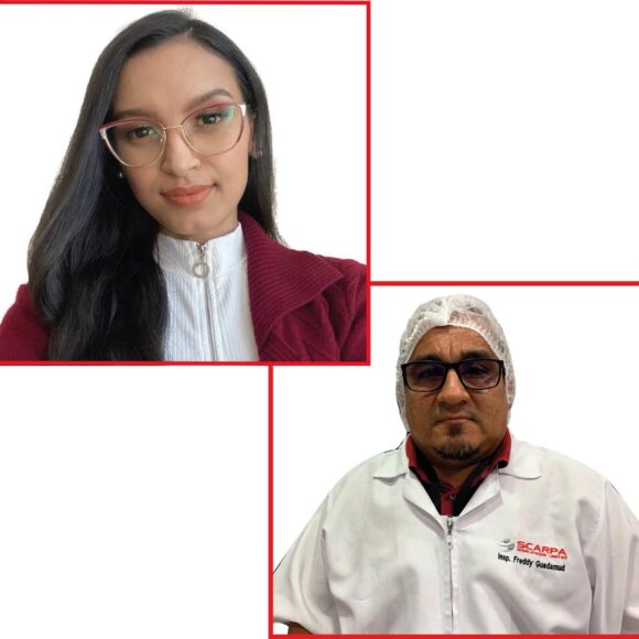 finalfoto de tamaño grande